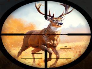 Juego Choque de caza salvaje en línea