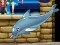 Juego Mi espectáculo de delfines 6 en línea