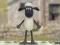 Juego Shaun el Oveja: ¡Salto Lano! en línea