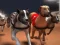 Juego Carreras de galgos en línea