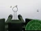 Juego Maestro Flak en línea