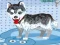 Juego Mi lindo perro bañándose en línea