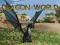Juego Mundo Dragón en línea Juego Mundo Dragón en línea