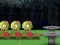 Juego Tira y afloja zombi en línea