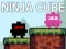 Juego Cubo Ninja en línea