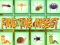 Juego Encuentra El Insecto en línea