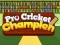 Juego Campeón Pro de Cricket en línea