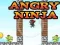 Juego Ninja Enojado en línea