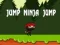 Juego Salta Ninja Salta en línea
