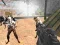 Juego Combate Strike Supervivencia Zombi Multijugador en línea