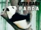 Juego Lindo bebé panda en línea