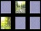 Juego Memoria de la Naturaleza en línea