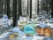 Juego Aventura en el bosque del país de las maravillas invernal en línea