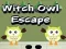 Juego Escape de la Lechuza Bruja en línea