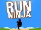 Juego Corre Ninja en línea