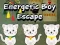 Juego Escape del niño enérgico en línea