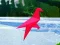 Juego Tiro a las aves en línea