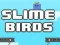 Juego Pájaros de Slime en línea