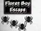 Juego Escape del Niño Florete en línea