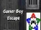 Juego Escape del Chico Gamer en línea