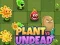 Juego Plantas vs No Muertos en línea