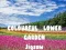 Juego Rompecabezas del Jardín de Flores Coloridas en línea