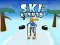 Juego Ski Rush 3D en línea
