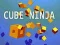 Juego Ninja Cubo en línea