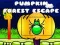 Juego Escape del Bosque de Calabazas en línea