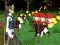 Juego Mejor batalla Cover Royale en línea