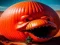 Juego Juego de rompecabezas de calabaza de Halloween en línea