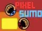 Juego Sumo Pixel en línea