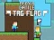 Juego Batalla de Amigos: Etiqueta Bandera en línea
