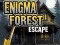 Juego Escape del Bosque Enigma en línea