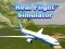 Juego Simulador de Vuelo Real en línea