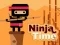 Juego Tiempo Ninja en línea