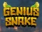 Juego Serpiente Genial en línea