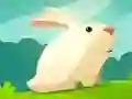 Juego Conejo Codicioso en línea
