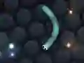 Juego Slither.io en línea