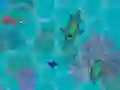 Juego Sharkz.io en línea