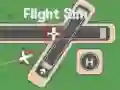 Juego Simulador de Vuelo en línea
