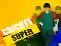 Juego Super Cricket en línea Juego Super Cricket en línea