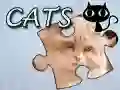 Juego Rompecabezas: Gatos en línea