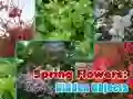 Juego Flores de Primavera: Objetos Ocultos en línea Juego Flores de Primavera: Objetos Ocultos en línea