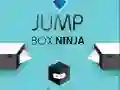 Juego Ninja de la Caja Saltar en línea Juego Ninja de la Caja Saltar en línea