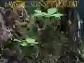 Juego Bosque místico al atardecer en línea