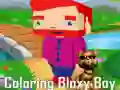 Juego Coloreando a Bloxy Boy en línea