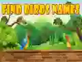 Juego Encuentra los nombres de las aves en línea Juego Encuentra los nombres de las aves en línea