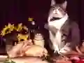 Juego Rompecabezas de Gatos Divertidos en línea