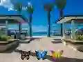 Juego Encuentra 100 mariposas en línea Juego Encuentra 100 mariposas en línea